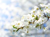 Květnové sváteční středy - tréninky nebudou